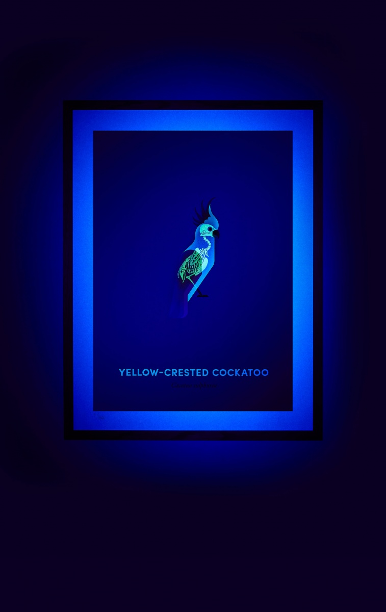 Yellow-Crested Cockatoo screen print under UV light - shown on hover