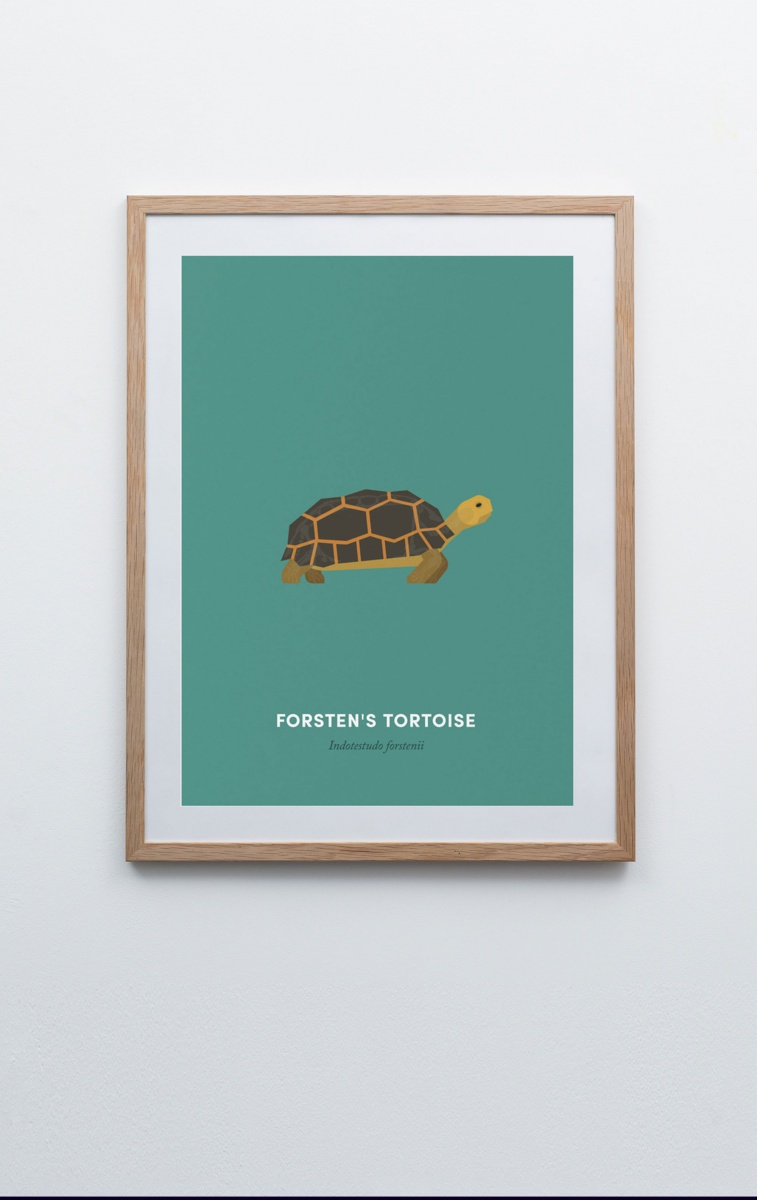 Forsten’s Tortoise screen print